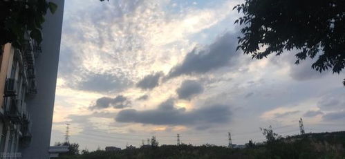 曲阜卫校分数线,山东专科学校2015年录取最低线