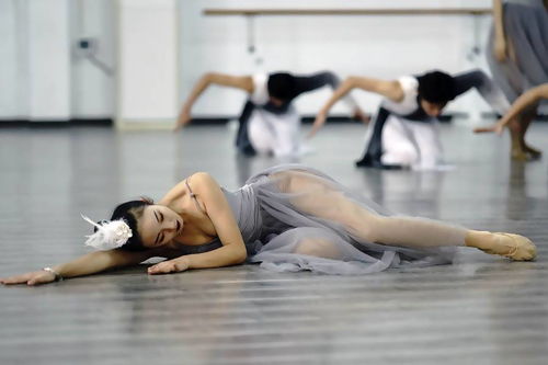 湖北体育舞蹈学校怎样,湖北体育舞蹈学校:培养优秀舞蹈人才的摇篮