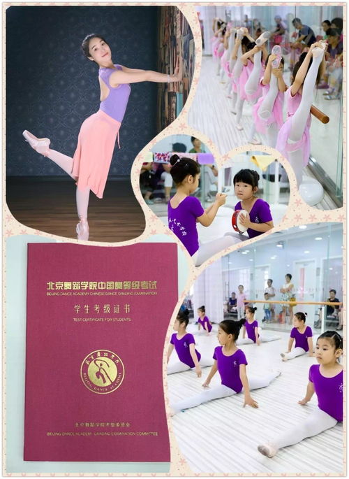 舞蹈教育艺考培训班哪家好,艺考舞蹈培训机构排名榜