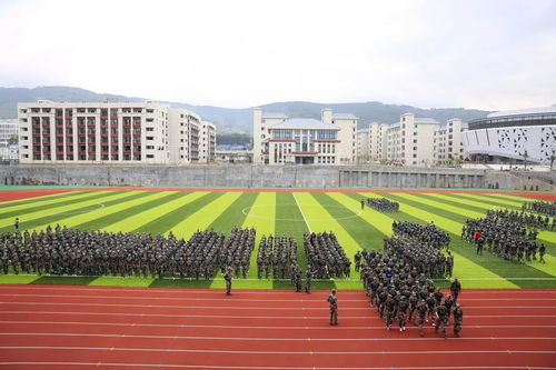 西昌幼师学校,西昌幼师专科学校