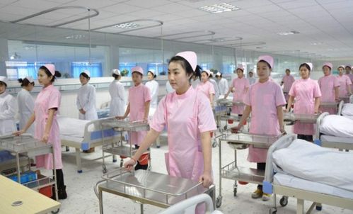 护护理专业主要学什么,护理专业主要学什么有哪些课程