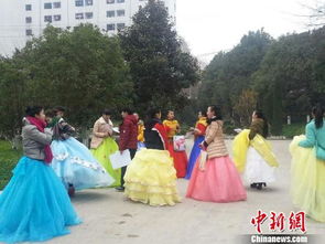 贵州省舞蹈艺考人数,2023贵州舞蹈统考本科合格分数段统计表 各分段人数