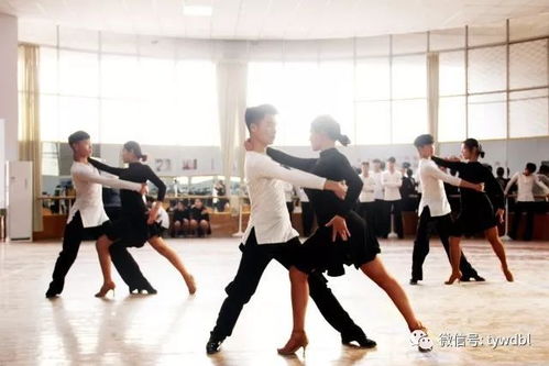 舞蹈大专学校有哪些,我是舞蹈特长生 我文化课没过省线 我专业是171分 我能报哪些好一点的专科学校？