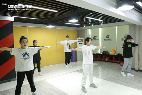 艺考舞蹈数据,2024舞蹈艺考多少分过线