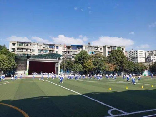 遵义市旅游学校航空,遵义航空职业技术学院,高铁乘务保就业吗