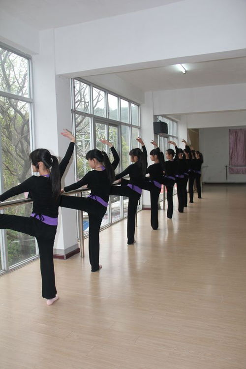 淮北幼师学校3+2年大专地址,安徽有哪些3+2大专院校