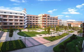 合肥学护理的大学,合肥护理专业的大学