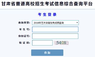 艺考舞蹈成绩查询,艺考成绩怎么查？