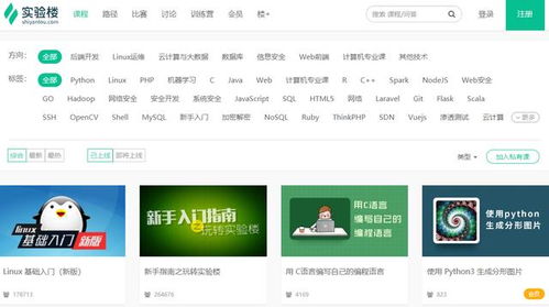 零基础学编程应该从哪入手,学编程什么年龄最适合