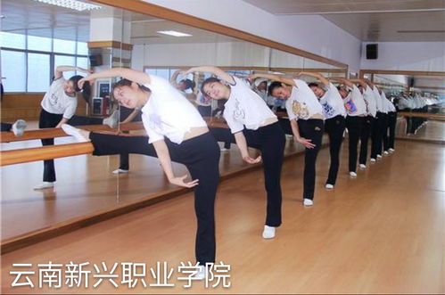 贵阳市幼师学校有哪些,贵阳市有几所幼师学校