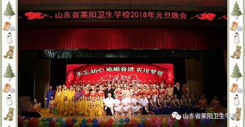 陇南卫校元旦晚会,学校元旦晚会可以有什么节目