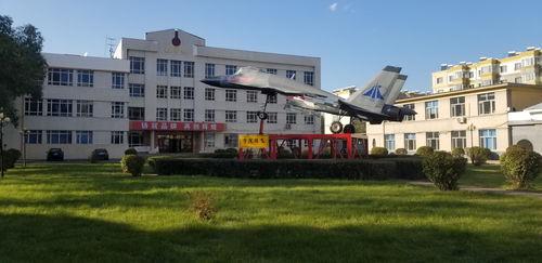 读航空学校的出路,初中生读航空学校就业怎么样