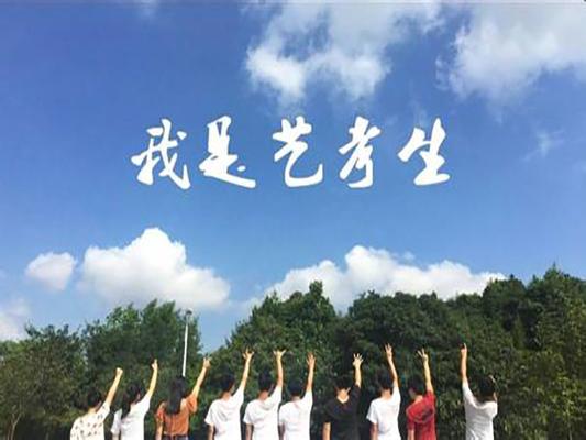 当美术生高考,美术生高考后能报哪些学校