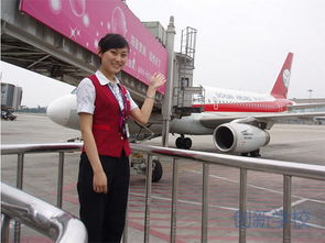 好的航空服务专业学校,航空服务专业学校排名