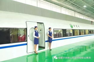 高铁航空幼师专业学校,临沂航空高铁职业技学技有幼师专业吗