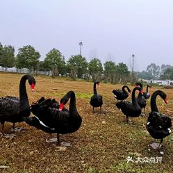 四川省旅游学校 黄龙溪校区,校园设施
