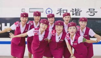 成都翔飞航空学校招聘,成都翔飞航空职业学校，物流在哪就业，待遇好不好