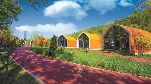 宁夏旅游学校怎么样,宁夏旅游学校好不好