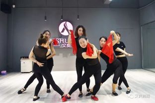 想学专业舞蹈当老师,肚皮舞教练培训太多了，怎么选择，学习几个月后能做老师吗？