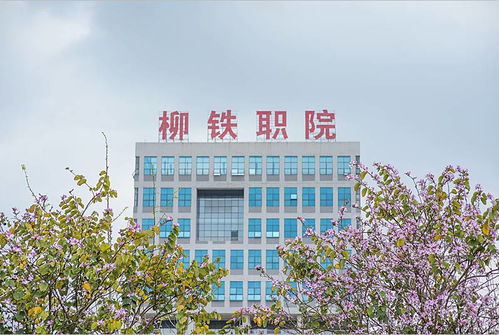 铁路职业学校报名,郑州铁路职业技术学院2014单招网上怎么报名