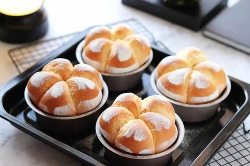 学厨师在学校学好还是跟师傅学好,新东方考厨师证要多少钱