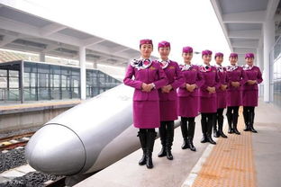 甘肃东方高铁航空学校,甘肃高铁学校一般都有哪些专业？