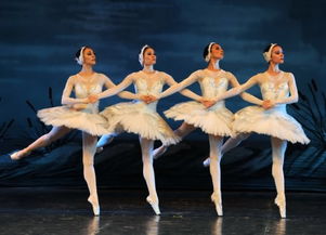 艺考舞蹈班一般多少钱,舞蹈艺考集训班收费