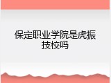 保定职业学院是虎振技校吗