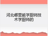 河北哪里能学厨师技术学厨师的