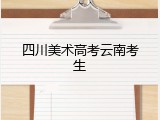 四川美术高考云南考生