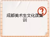 成都美术生文化课集训