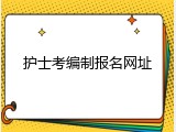 护士考编制报名网址