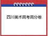 四川美术高考高分卷