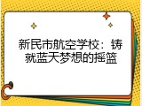 新民市航空学校：铸就蓝天梦想的摇篮