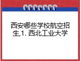 西安哪些学校航空招生,1. 西北工业大学