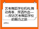 艺考舞蹈学校机构,舞动青春，挥洒热血——探访艺考舞蹈学校的魅力之旅