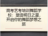 高考艺考培训舞蹈学校：塑造明日之星，开启你的舞蹈梦想之旅