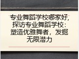 专业舞蹈学校哪家好,探访专业舞蹈学校：塑造优雅舞者，发掘无限潜力