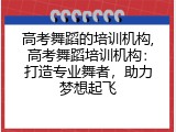高考舞蹈的培训机构,高考舞蹈培训机构：打造专业舞者，助力梦想起飞