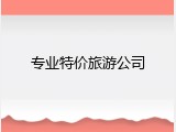 专业特价旅游公司