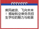 乘风破浪，飞向未来！揭秘航空乘务员招生学校的魅力与前景
