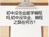 初中没毕业能学编程吗,初中没毕业，编程之路在何方？