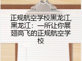 正规航空学校黑龙江,黑龙江：一所让你展翅高飞的正规航空学校