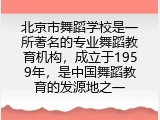 北京市舞蹈学校是一所著名的专业舞蹈教育机构，成立于1959年，是中国舞蹈教育的发源地之一