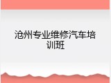 沧州专业维修汽车培训班