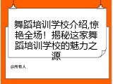 舞蹈培训学校介绍,惊艳全场！揭秘这家舞蹈培训学校的魅力之源