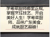 学粤菜厨师哪里正规,掌握烹饪技艺，开启美好人生！学粤菜厨师，品味广东美食，成就厨艺巅峰！