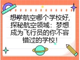 想学航空哪个学校好,探秘航空领域：梦想成为飞行员的你不容错过的学校！