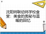 沈阳师联幼师学校食堂：美食的奥秘与温暖的回忆
