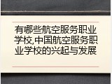有哪些航空服务职业学校,中国航空服务职业学校的兴起与发展